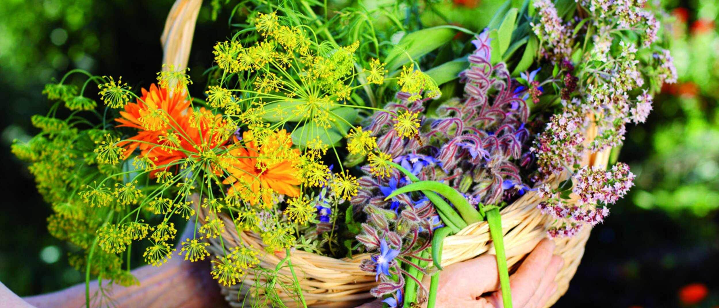 Fotolia_51144052_M_Kopie